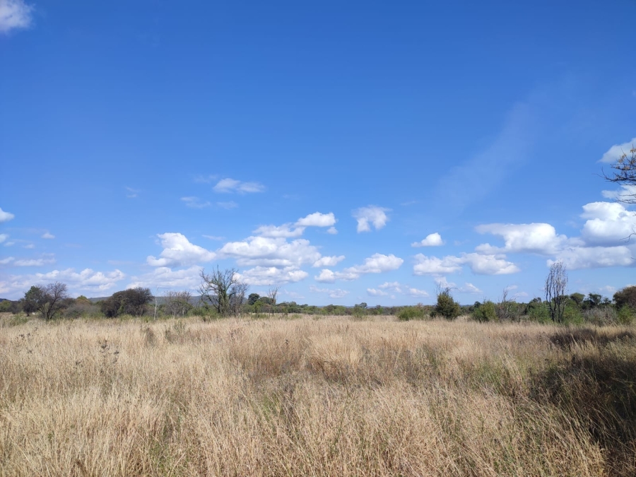 0 Bedroom Property for Sale in Zeerust North West